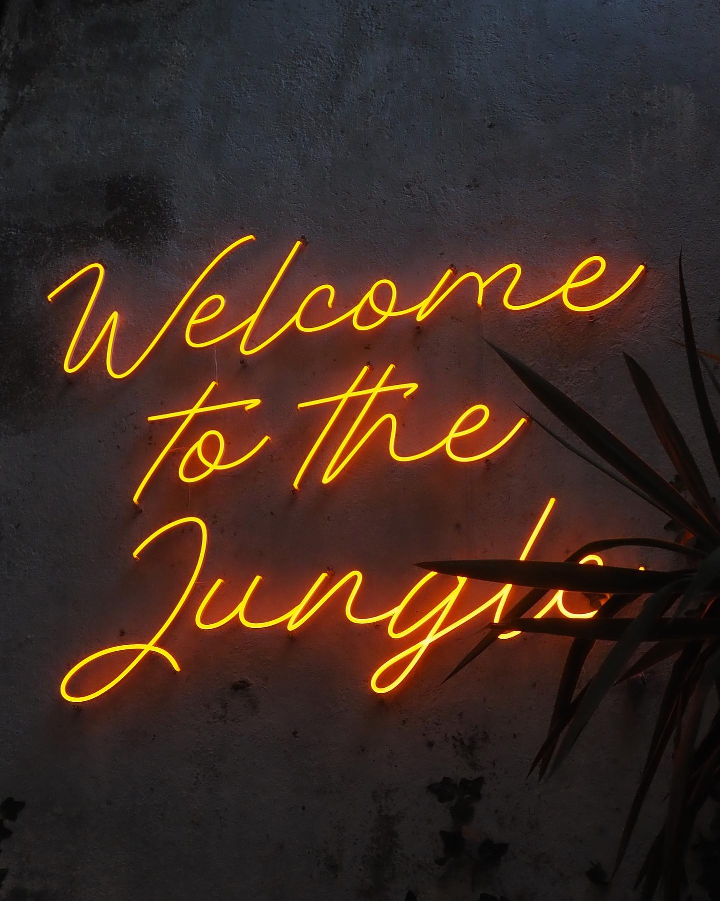 490156093_1235798455221389_778056154059267264_n